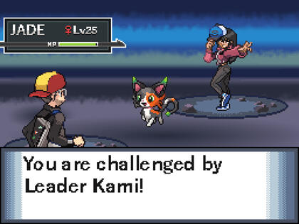 Pokemon Battle